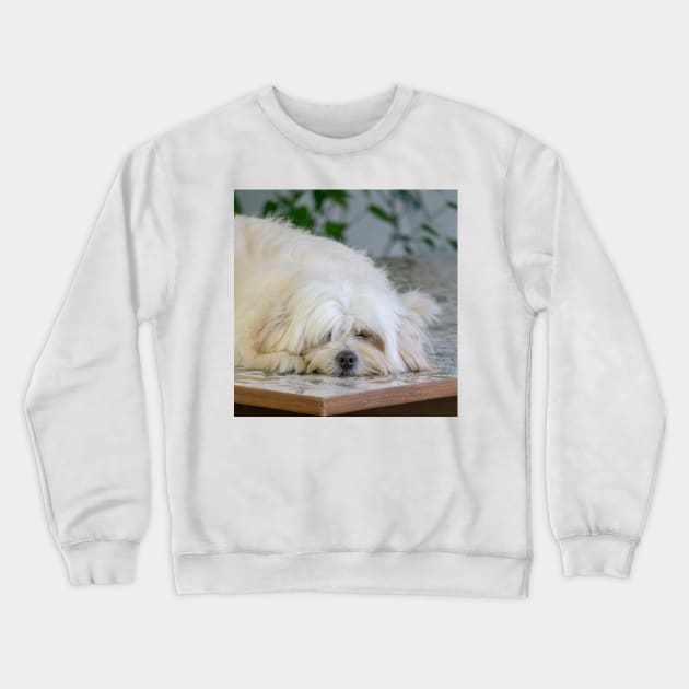 Lazy Sophie Crewneck Sweatshirt by likbatonboot